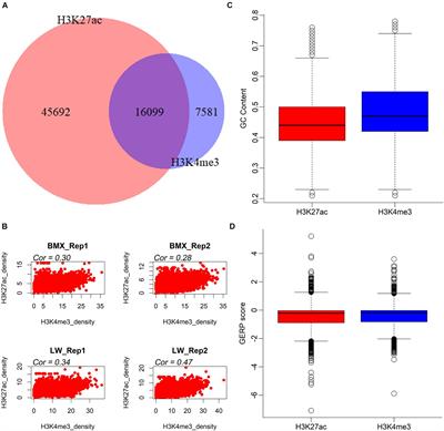 Comparative Analysis of Promoters and Enhancers in the Pituitary Glands of the Bama Xiang and Large White Pigs